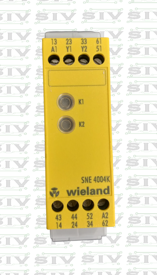 RELEVADOR DE SEGURIDAD SCHLEICHER 24VAC/DC K1-K2